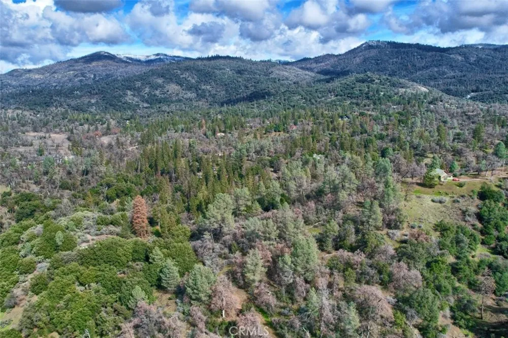 42583 Shady Lane Oakhurst, CA 93644