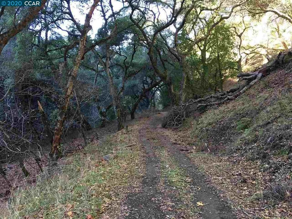 Lark Ln Alamo, CA 94507