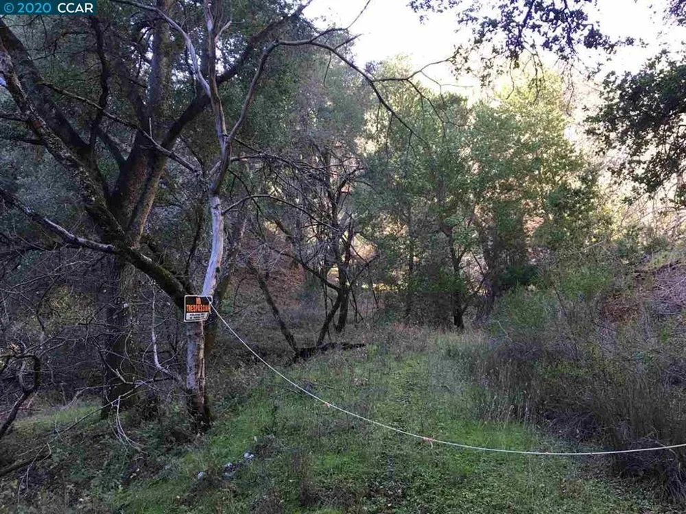 Lark Ln Alamo, CA 94507