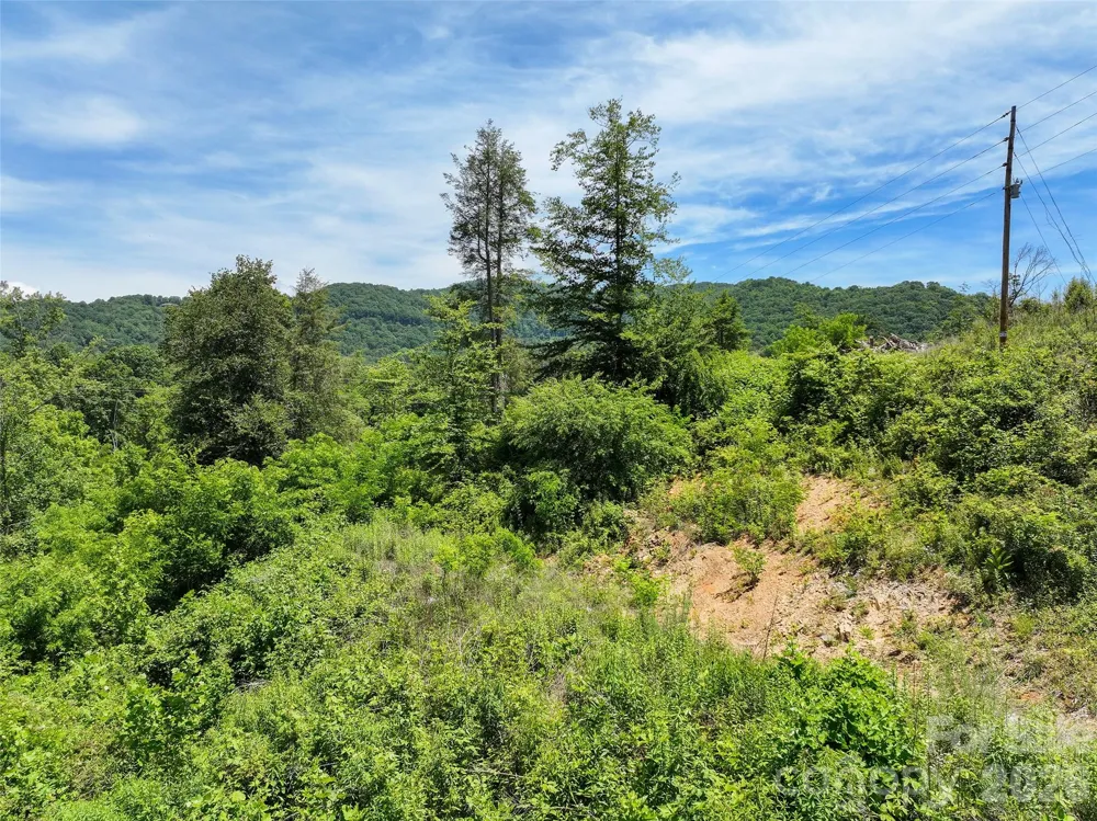 347 Richland Creek Road Clyde, NC 28721