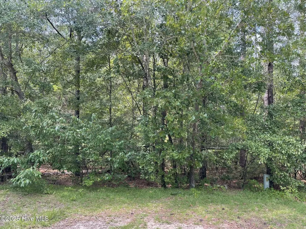 8 Country Lane Ellerbe, NC 28338