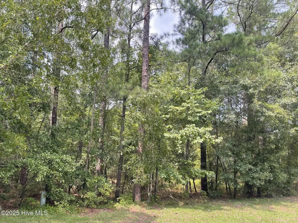 7 Country Lane Ellerbe, NC 28338