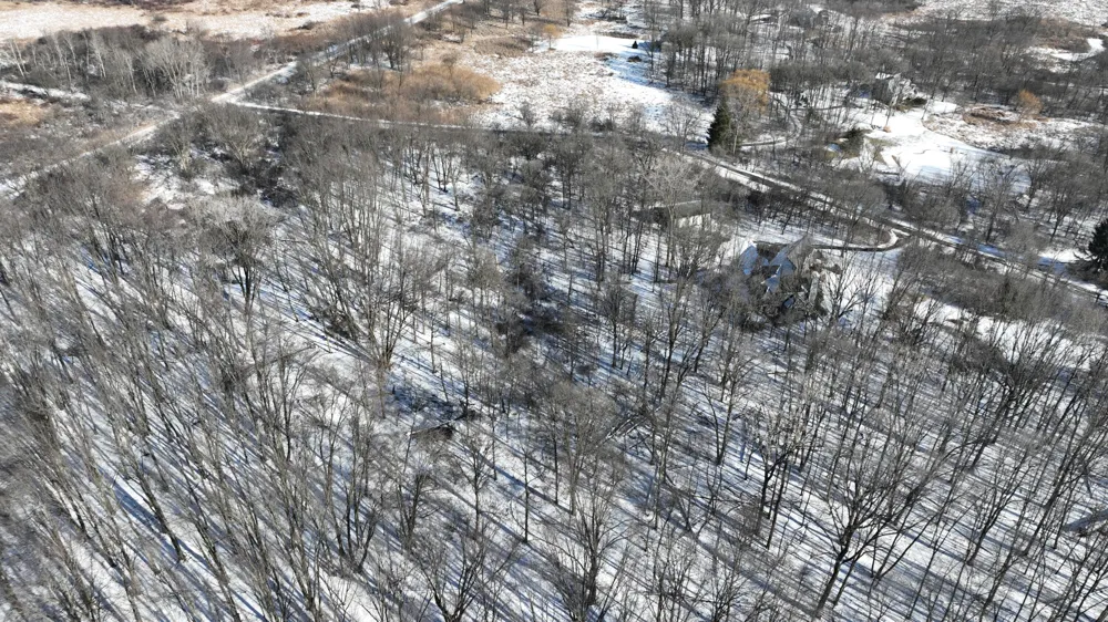 1192 Stags Leap Lane Ann Arbor, MI 48103