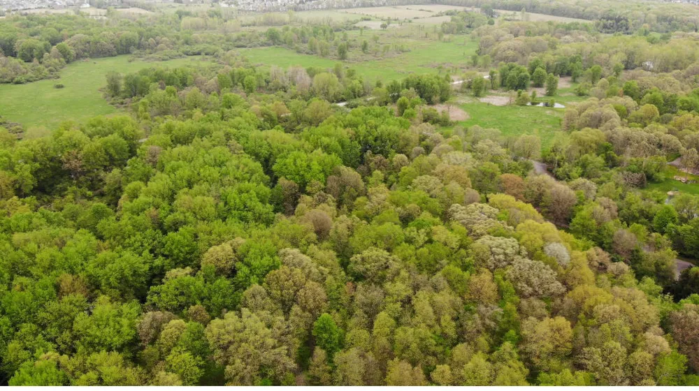 1192 Stags Leap Lane Ann Arbor, MI 48103