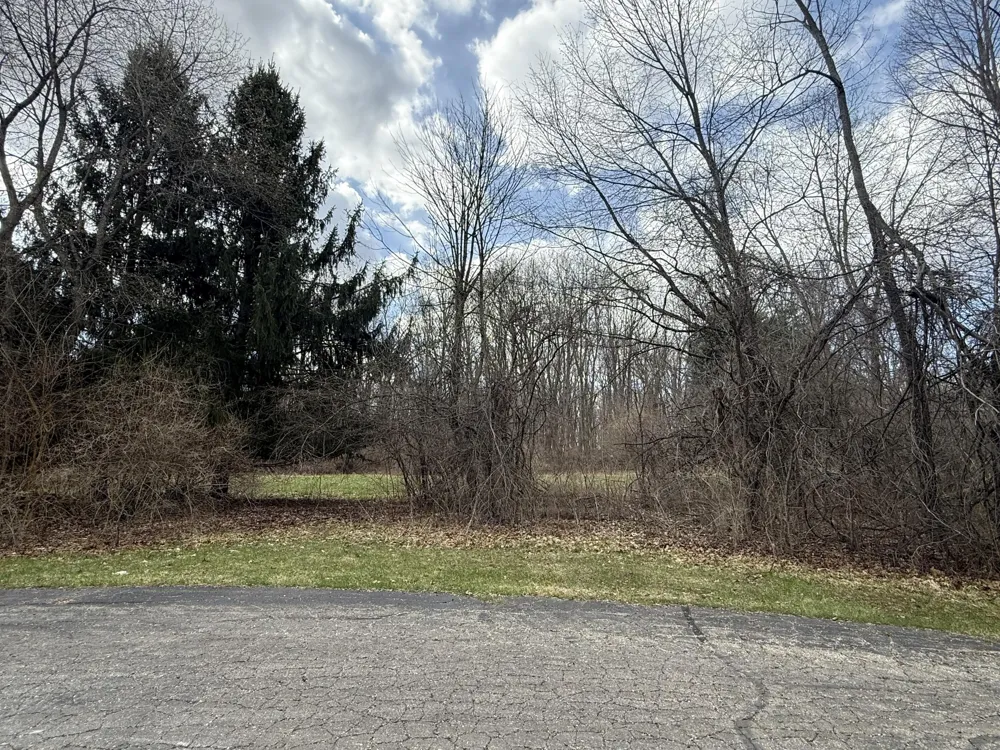 1192 Stags Leap Lane Ann Arbor, MI 48103