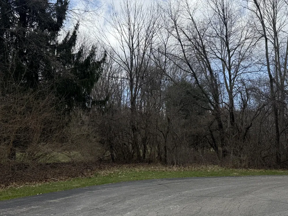 1192 Stags Leap Lane Ann Arbor, MI 48103