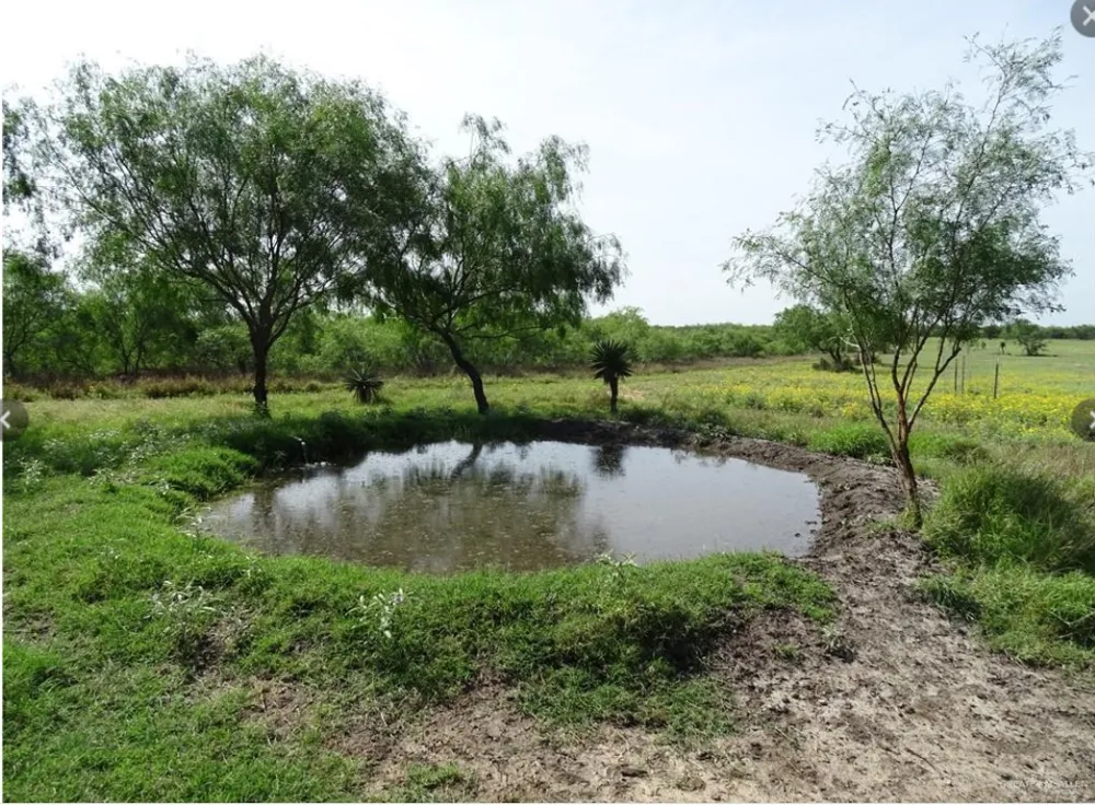 2294 FM 2294 San Isidro, TX 78588