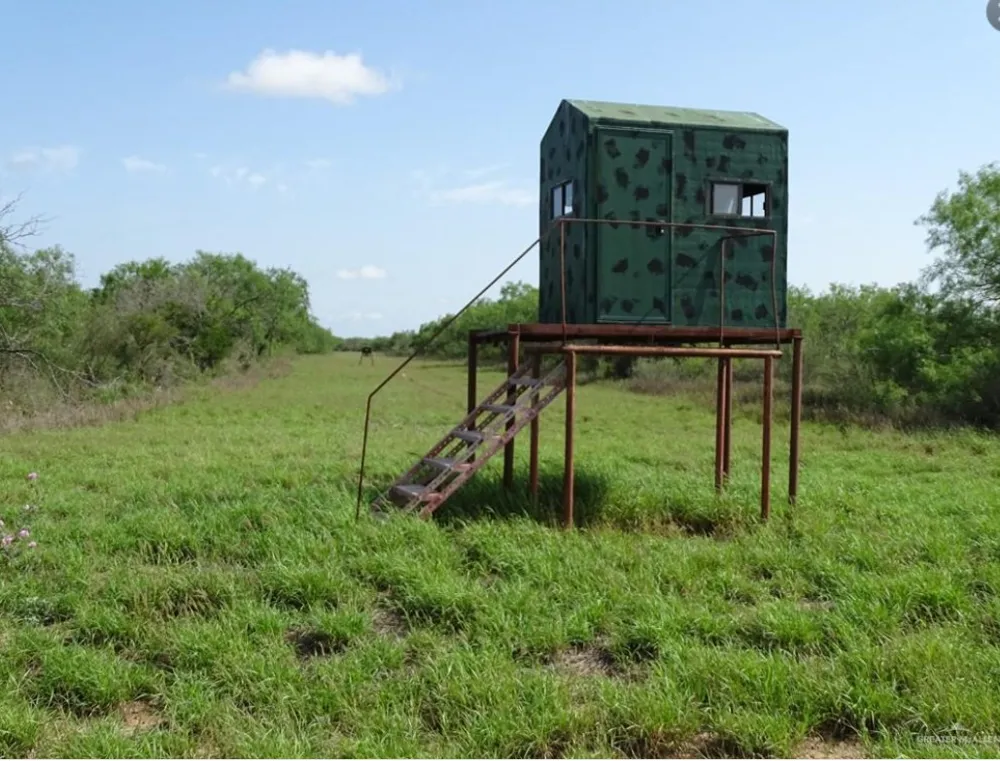 2294 FM 2294 San Isidro, TX 78588