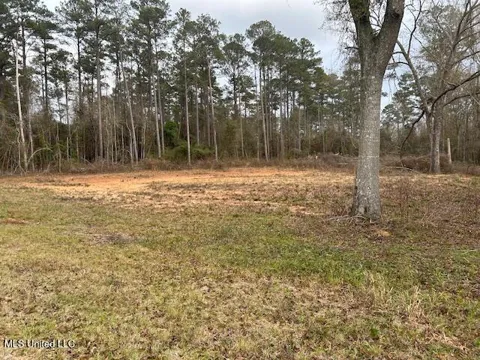 1028 Chester Reeves Road