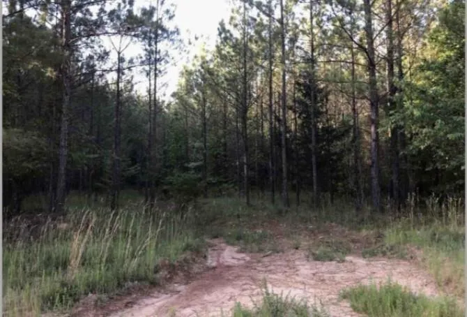 0 Lower Mill Road Crawfordville, GA 30631