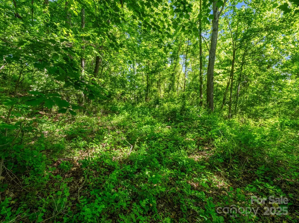 00000 Hamilton Acres Drive #4, 5, & 6 Hendersonville, NC 28791