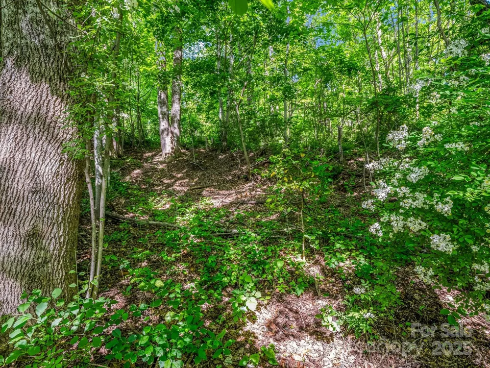 00000 Hamilton Acres Drive #4, 5, & 6 Hendersonville, NC 28791