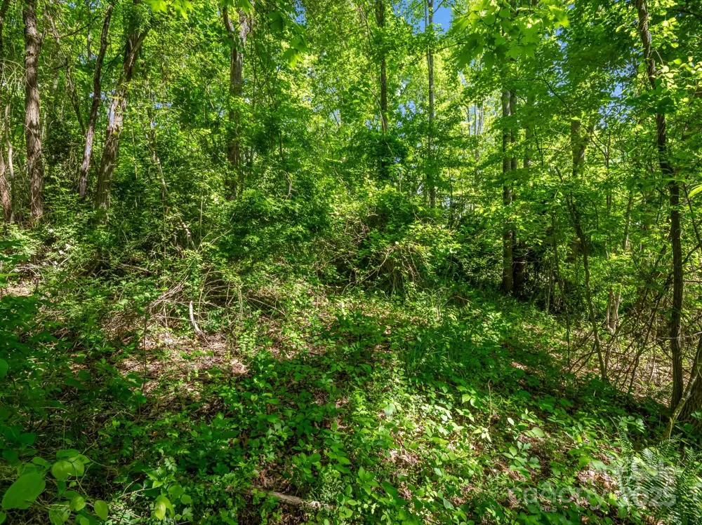 00000 Hamilton Acres Drive #4, 5, & 6 Hendersonville, NC 28791