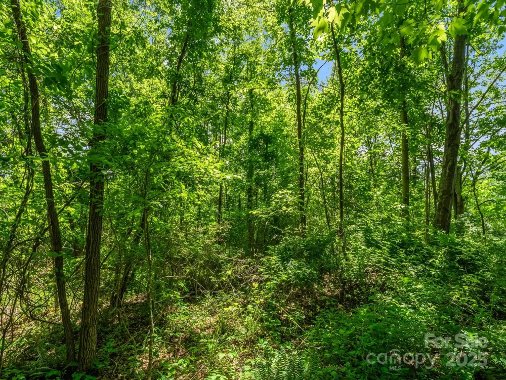 00000 Hamilton Acres Drive #4, 5, & 6 Hendersonville, NC 28791