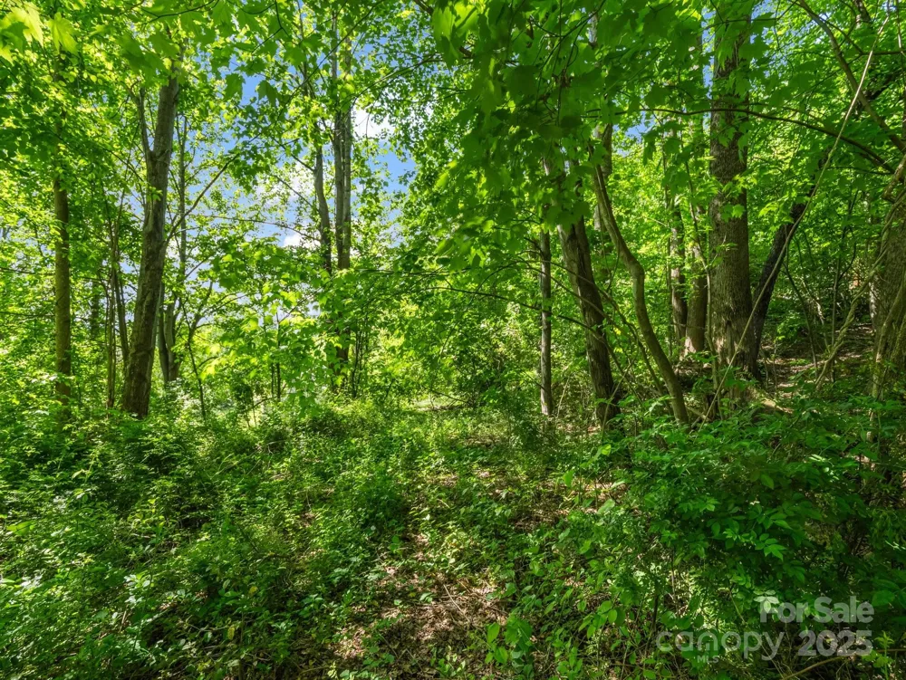 00000 Hamilton Acres Drive #4, 5, & 6 Hendersonville, NC 28791