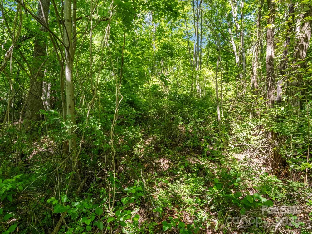 00000 Hamilton Acres Drive #4, 5, & 6 Hendersonville, NC 28791