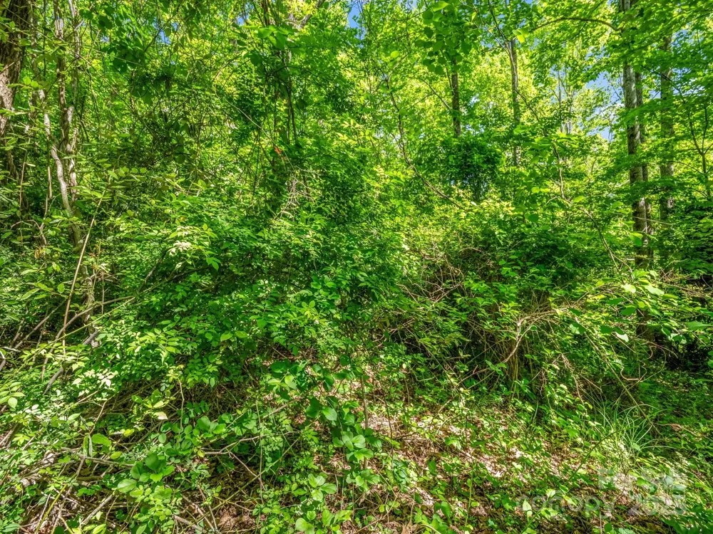 00000 Hamilton Acres Drive #4, 5, & 6 Hendersonville, NC 28791