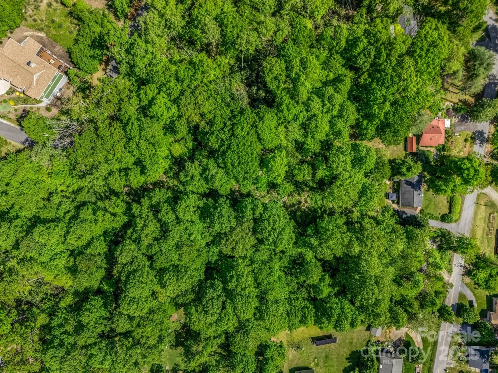 00000 Hamilton Acres Drive #4, 5, & 6 Hendersonville, NC 28791