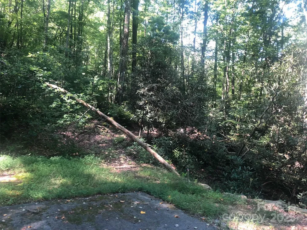 TBD Peppervine Circle #94 Rosman, NC 28772
