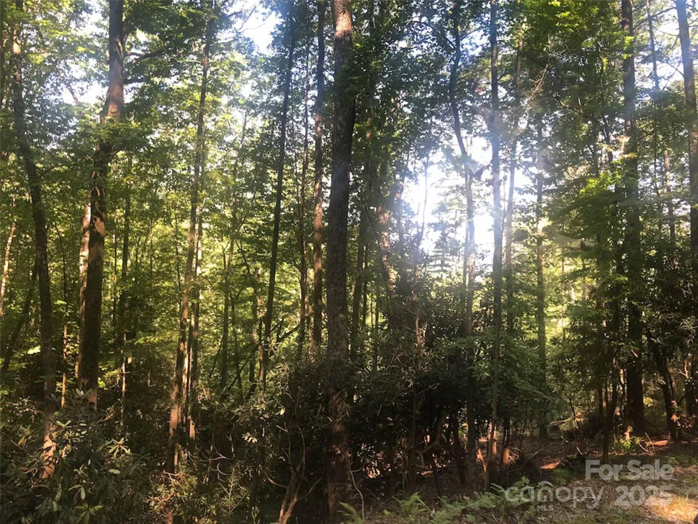 TBD Peppervine Circle #94 Rosman, NC 28772