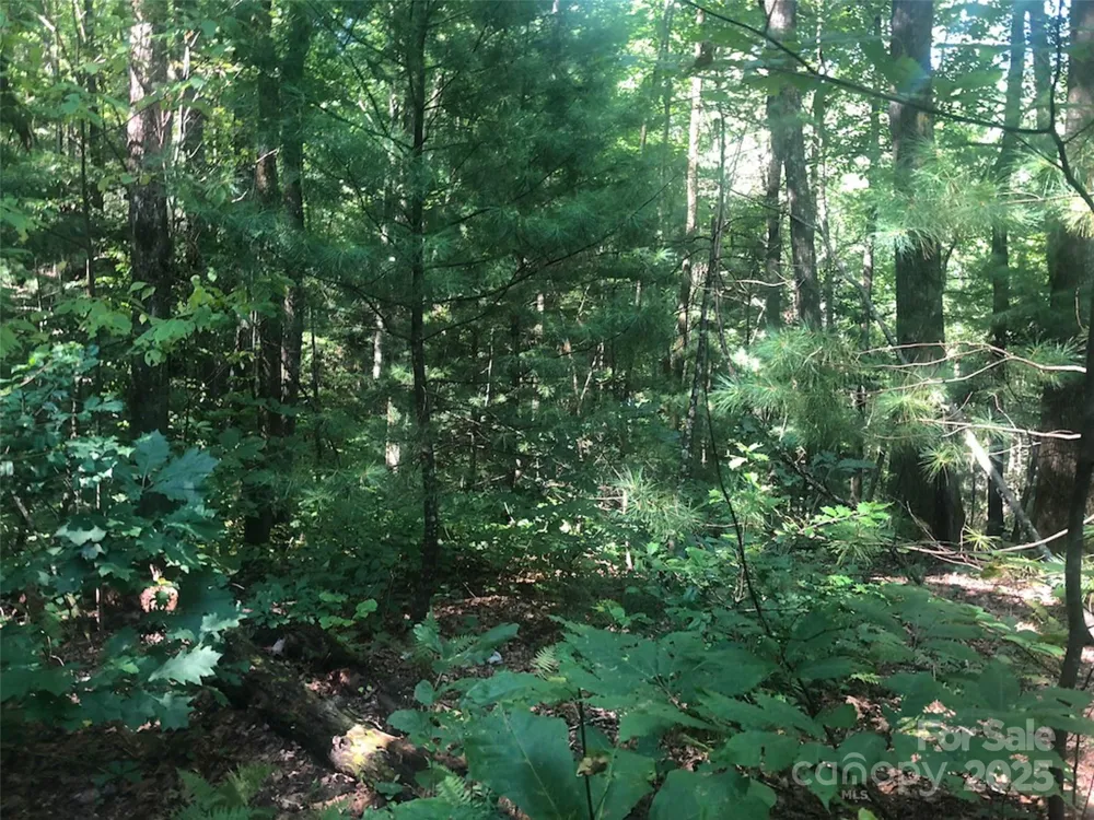TBD Peppervine Circle #94 Rosman, NC 28772