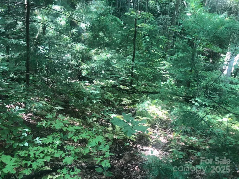 TBD Peppervine Circle #94 Rosman, NC 28772