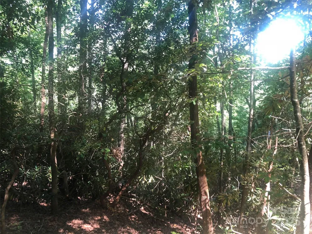 TBD Peppervine Circle #94 Rosman, NC 28772