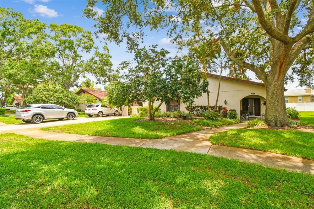 3476 TARPON WOODS BOULEVARD Palm Harbor, FL 34685