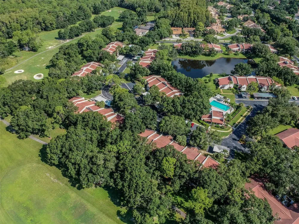 3476 TARPON WOODS BOULEVARD Palm Harbor, FL 34685
