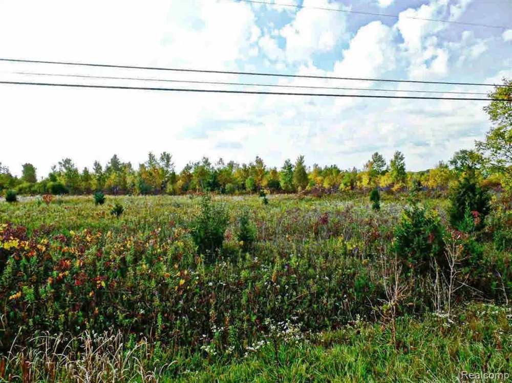 9147 Corunna Road Clayton Charter Township, MI 48532