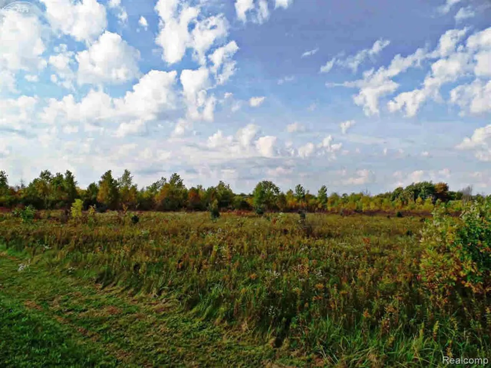 9147 Corunna Road Clayton Charter Township, MI 48532