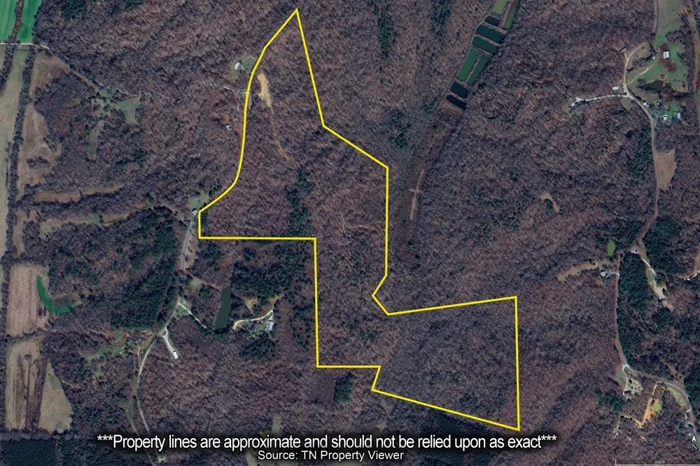 0 Holladay Rd Parsons, TN 38363