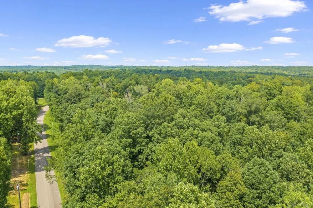 0 Holladay Rd Parsons, TN 38363