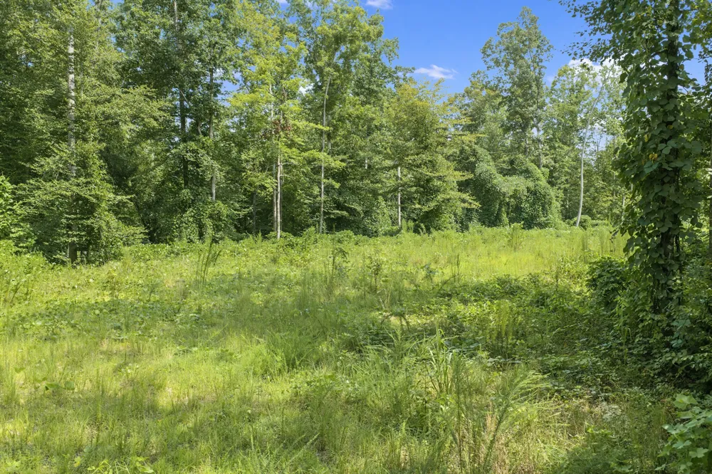 0 Holladay Rd Parsons, TN 38363