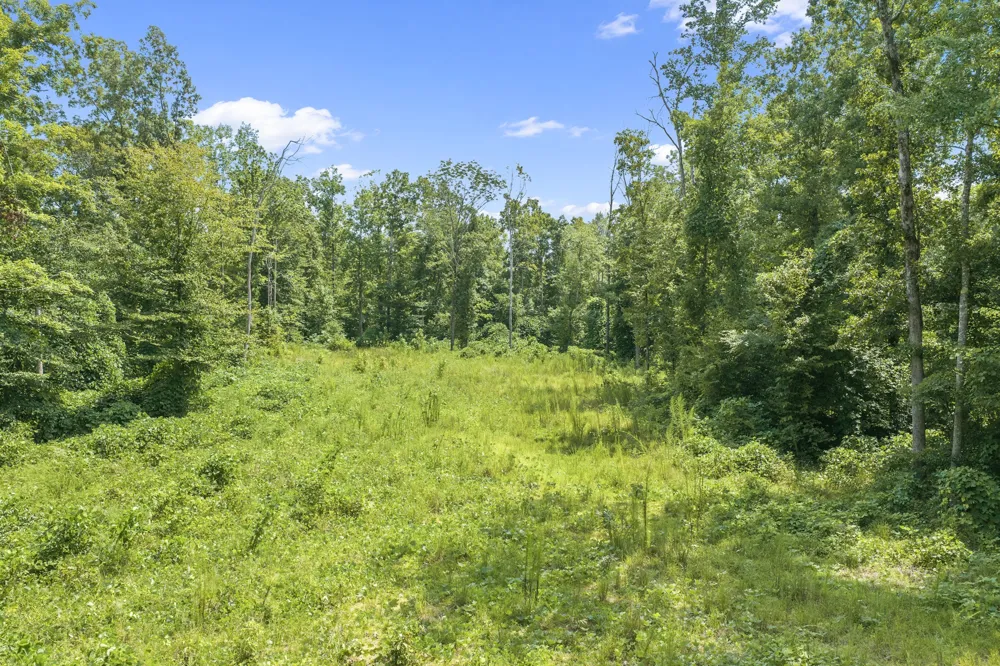 0 Holladay Rd Parsons, TN 38363