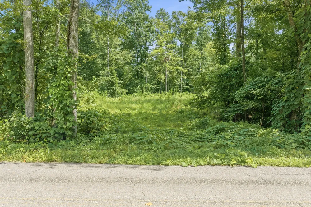 0 Holladay Rd Parsons, TN 38363