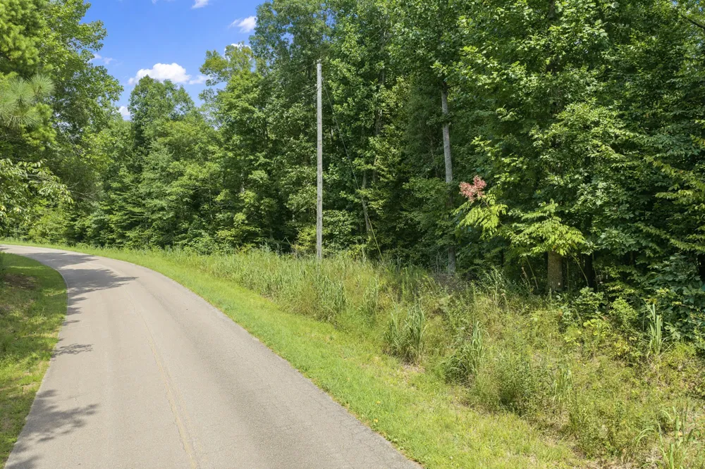 0 Holladay Rd Parsons, TN 38363