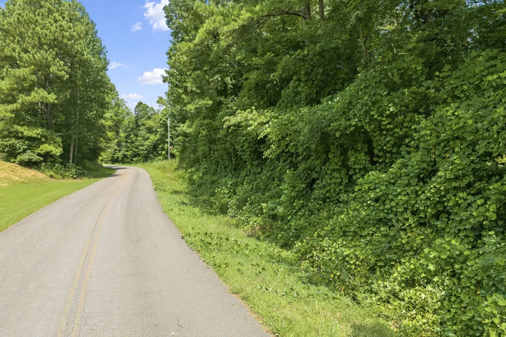 0 Holladay Rd Parsons, TN 38363