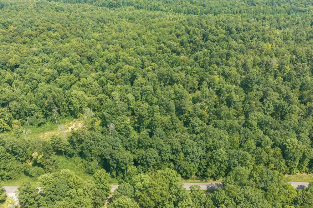0 Holladay Rd Parsons, TN 38363