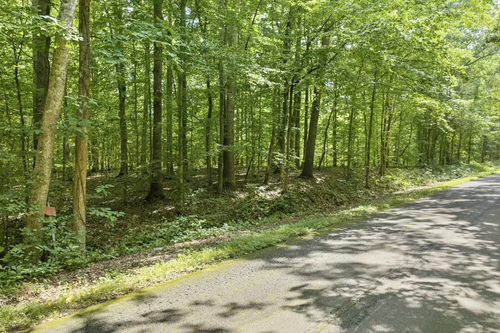 0 Holladay Rd Parsons, TN 38363