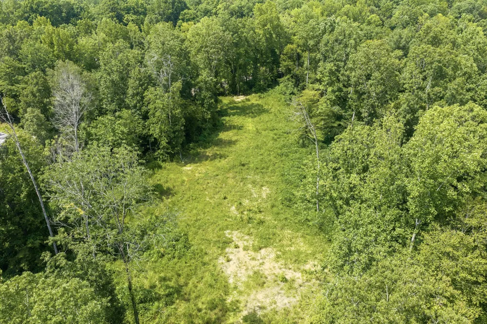 0 Holladay Rd Parsons, TN 38363