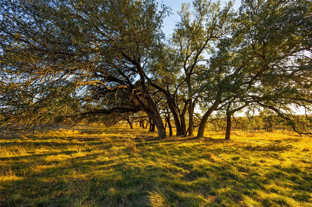 Comanche Lake Road Comanche, TX 76442