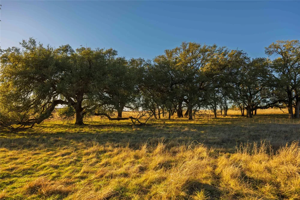 Comanche Lake Road Comanche, TX 76442