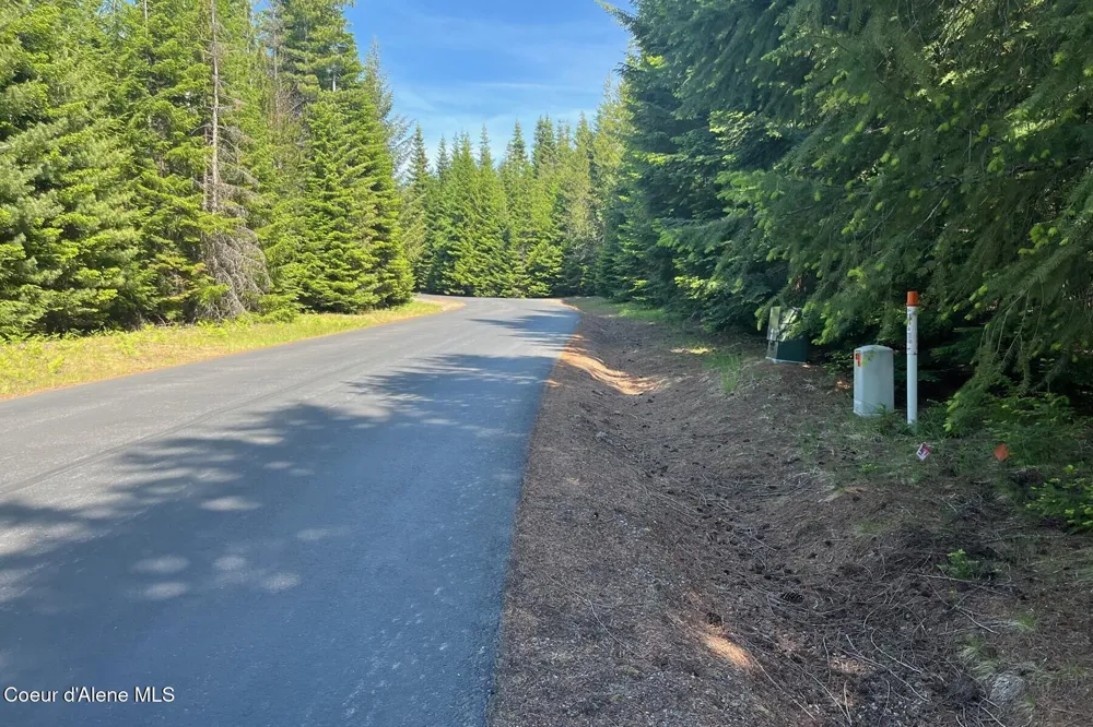 534 Saddleback Drive Naples, ID 83847