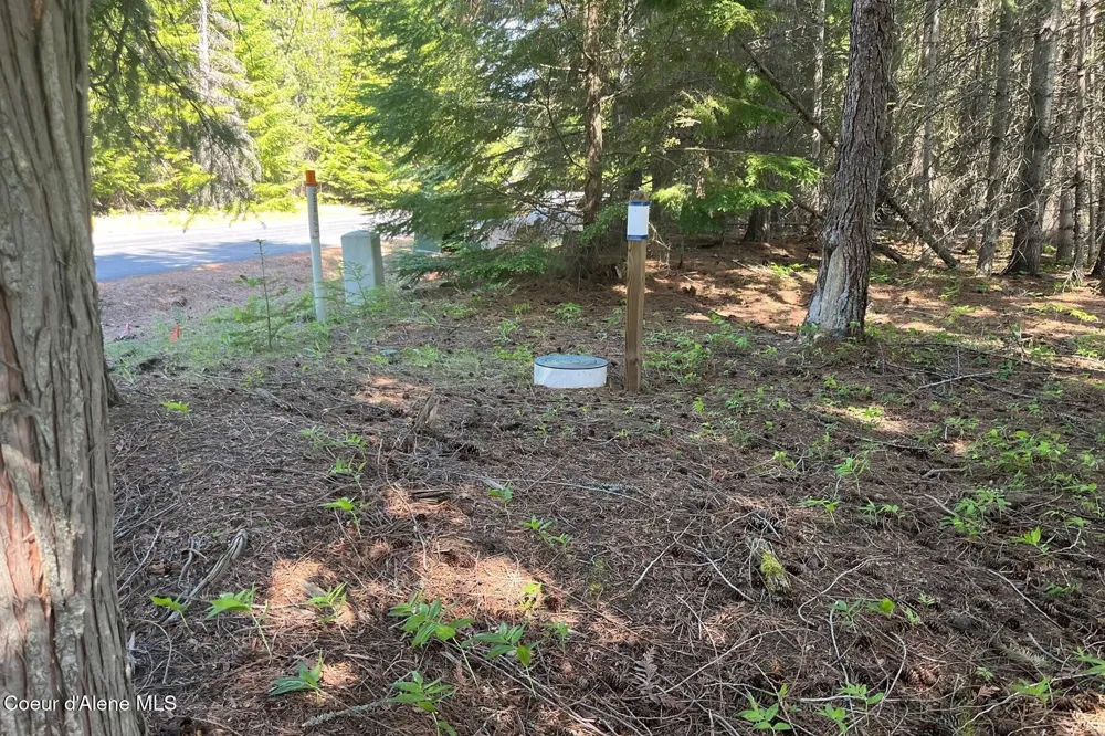 534 Saddleback Drive Naples, ID 83847
