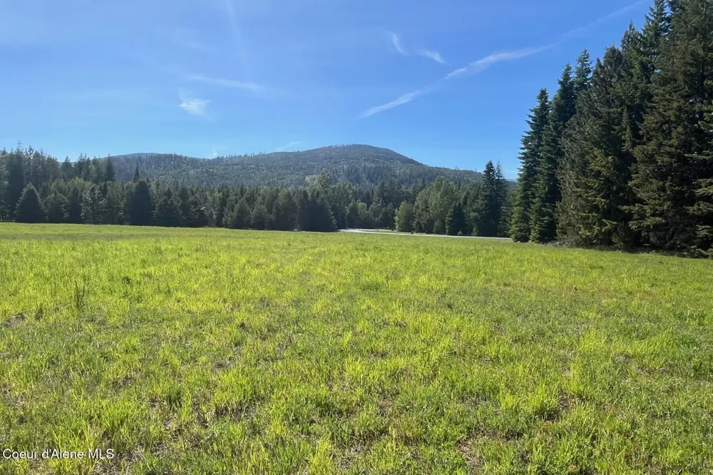 534 Saddleback Drive Naples, ID 83847