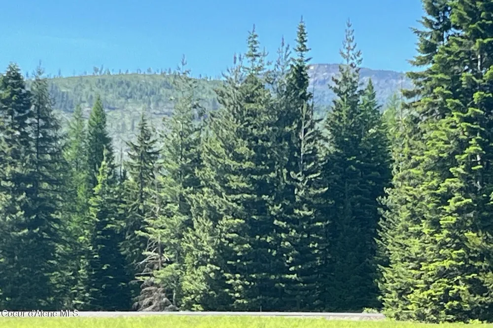 534 Saddleback Drive Naples, ID 83847