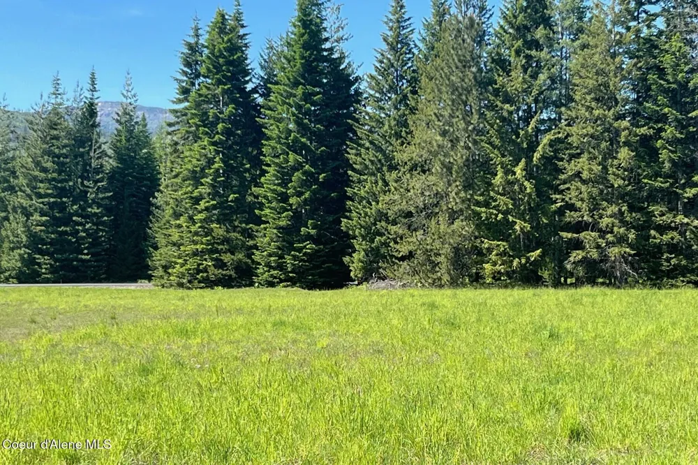 534 Saddleback Drive Naples, ID 83847