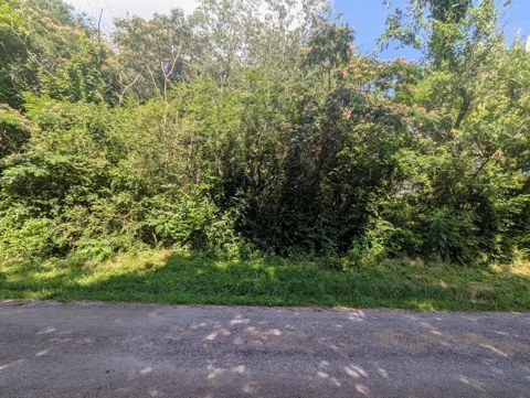 County Road 493 Road