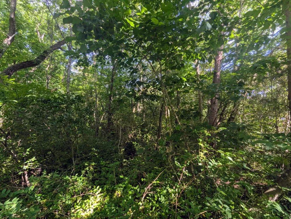 County Road 493 Road Etowah, TN 37331